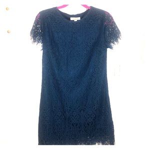 Navy lace mini dress